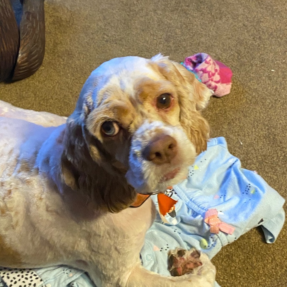 Meet your Posher, Brenna